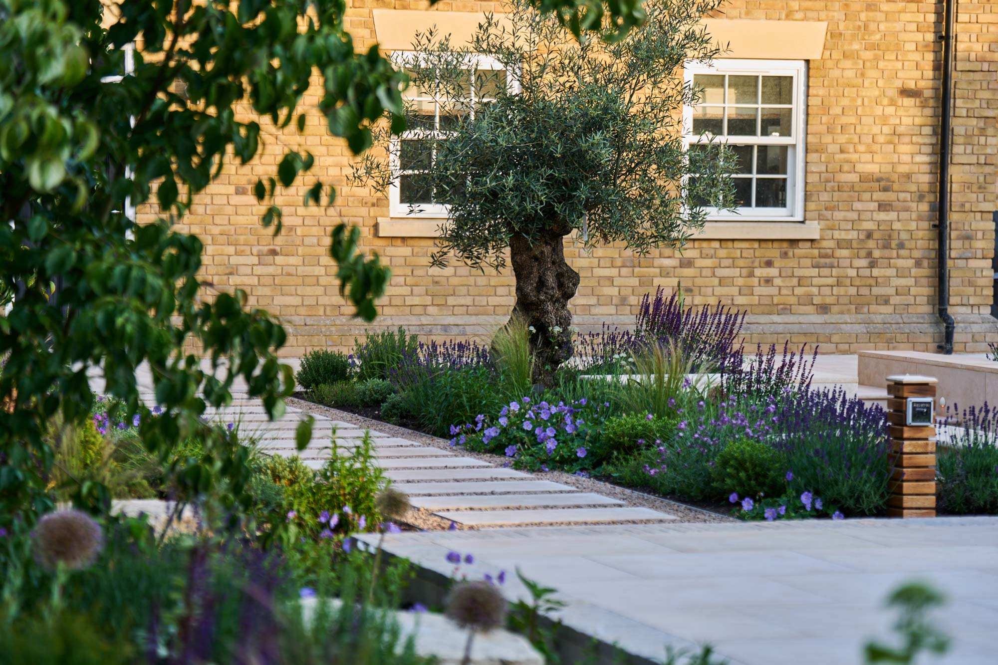 view towards house with planting Tim Miller Garden Design