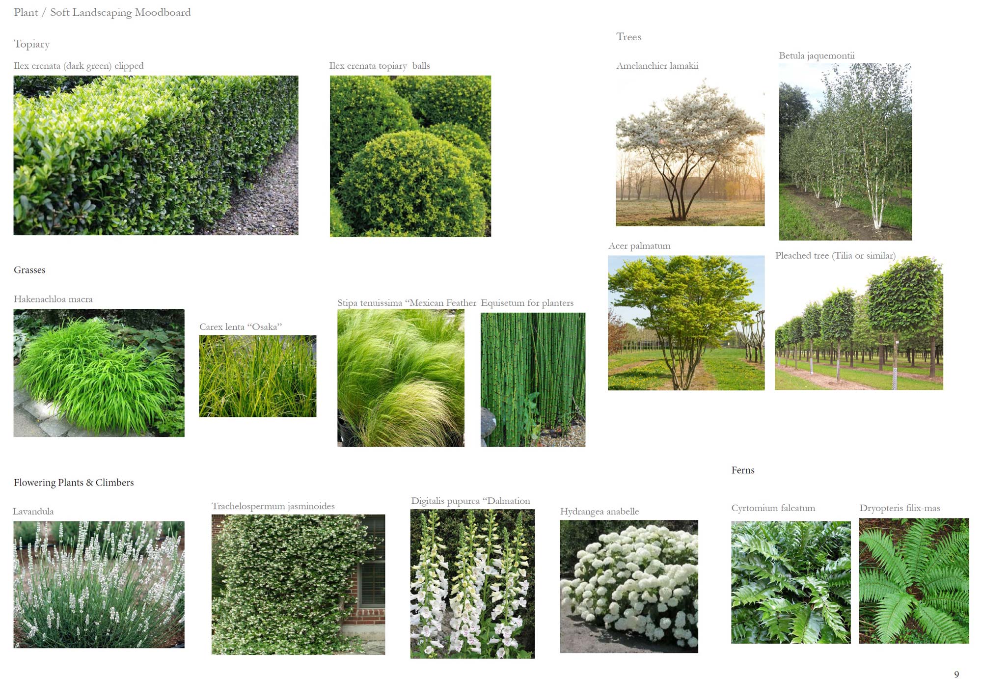 Planting mood board